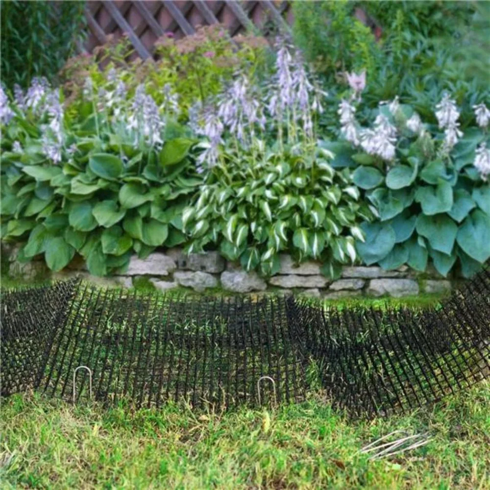 10 PCS Scat Mat for Cats Indoor, 16